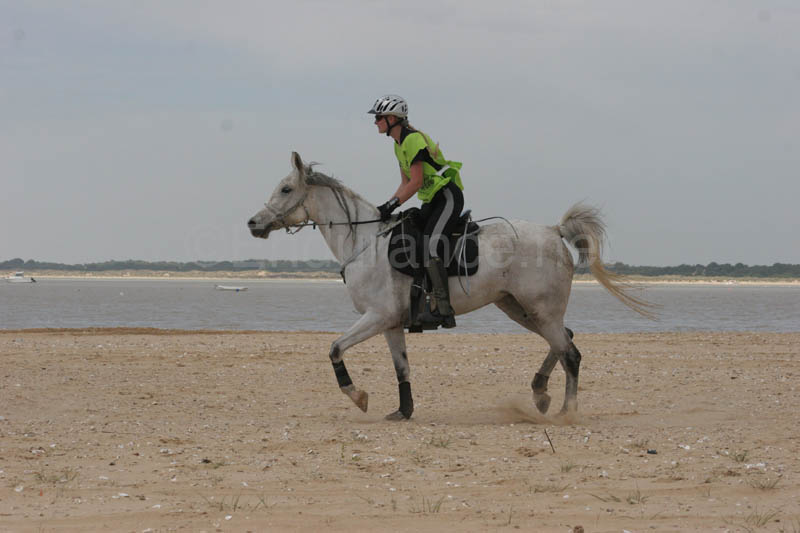 0903TDAA_331