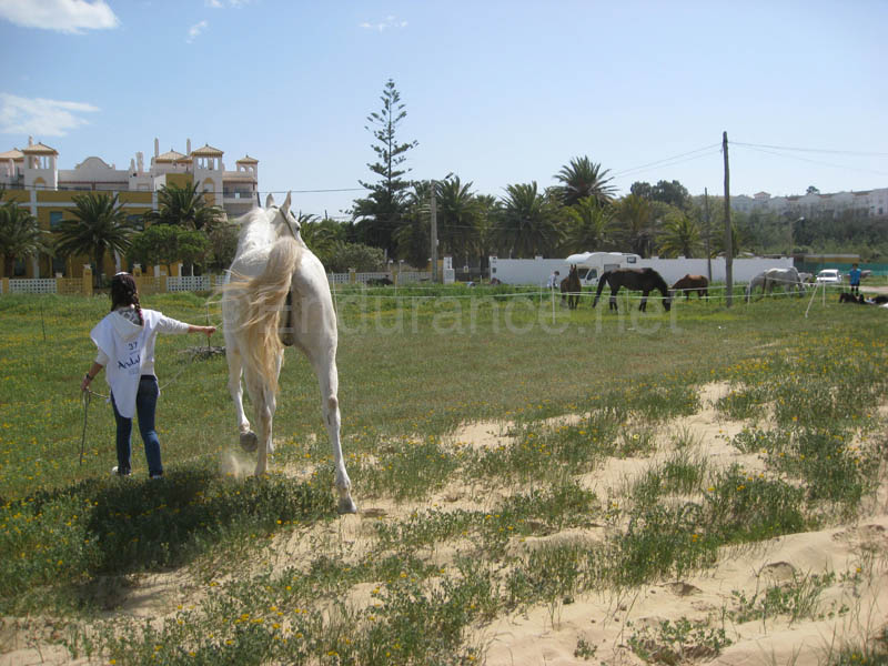 0903TDAA_349A