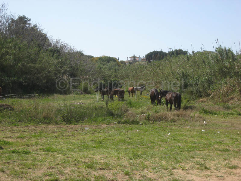 0903TDAA_349C