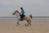 0903TDAA_329