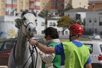 0903TDAA_336