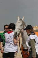 0903TDAA_342