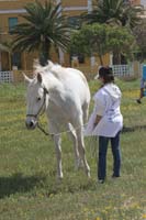 0903TDAA_348