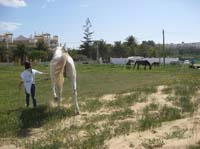 0903TDAA_349A