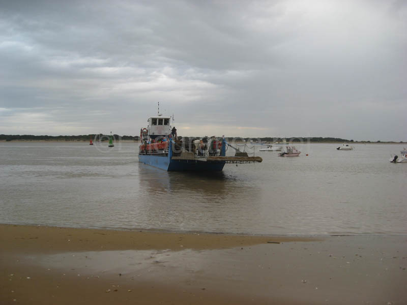 0903TDAA_391C