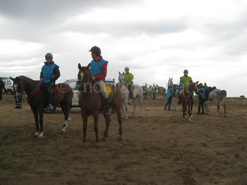 0903TDAA_393C