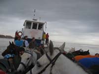 0903TDAA_392F