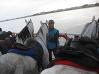 0903TDAA_392G