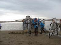 0903TDAA_393