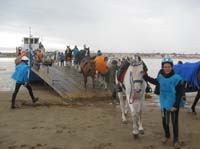 0903TDAA_393B