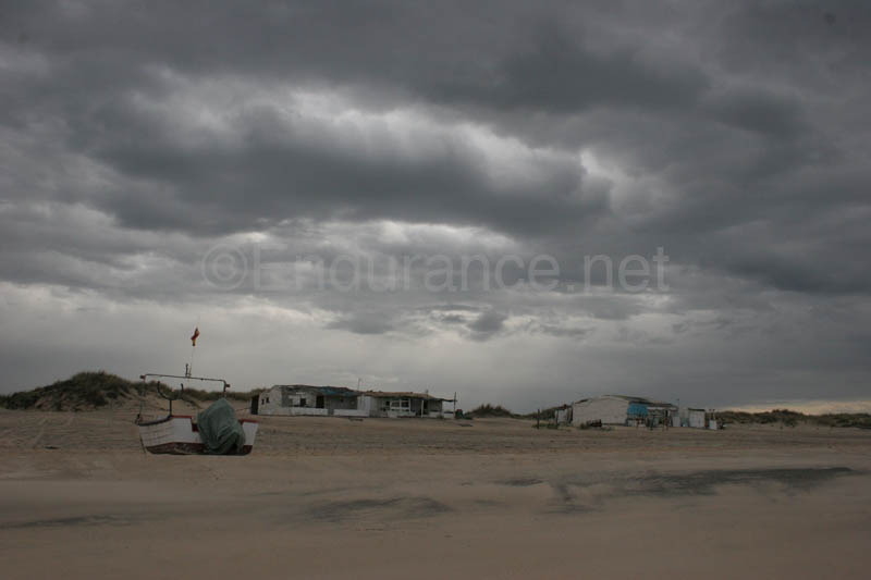 0903TDAA_443