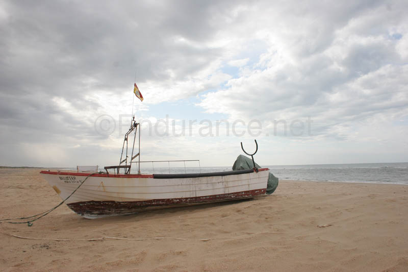0903TDAA_444