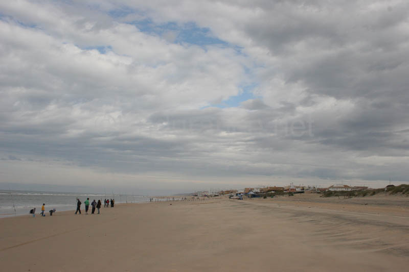 0903TDAA_445