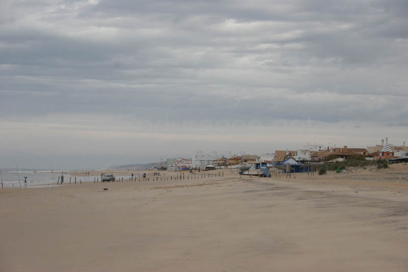 0903TDAA_446