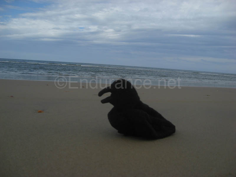0903TDAA_446B