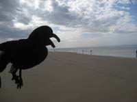 0903TDAA_446A