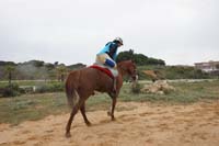 0903TDAA_475
