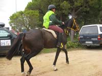 0903TDAA_492E