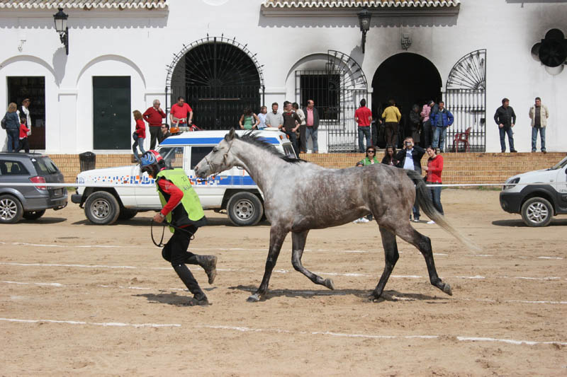 0903TDAA_566