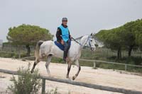 0903TDAA_502