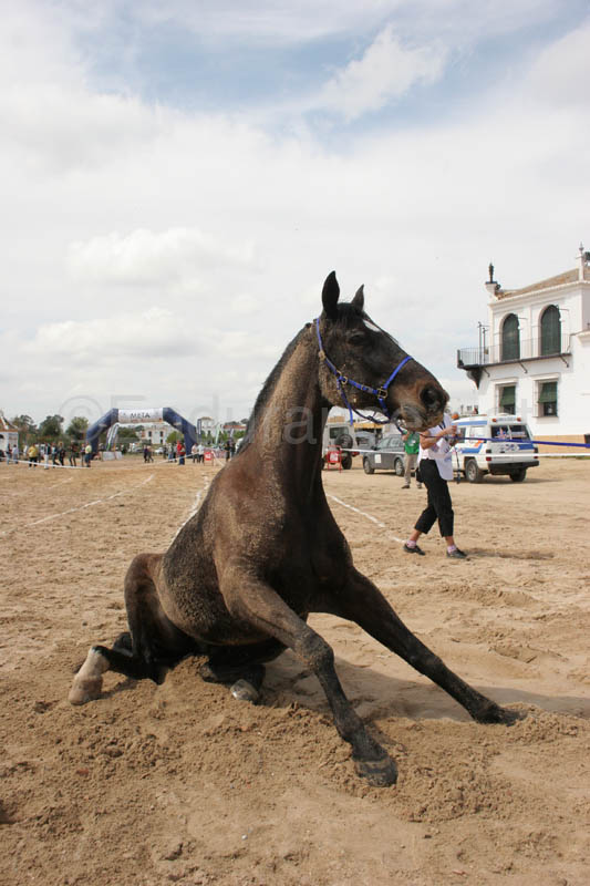 0903TDAA_616