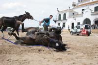 0903TDAA_613