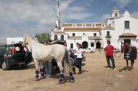 0903TDAA_631
