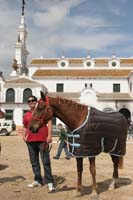 0903TDAA_632