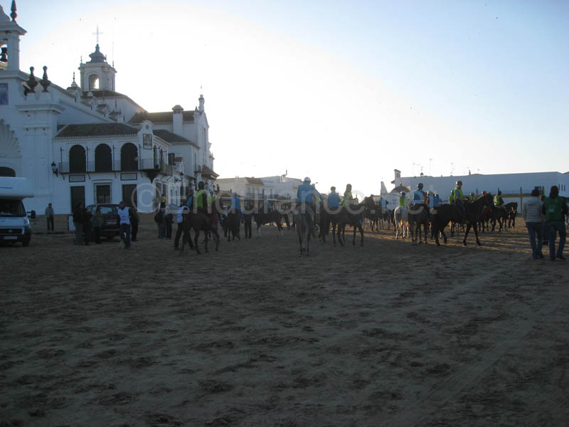 0903TDAA_664A