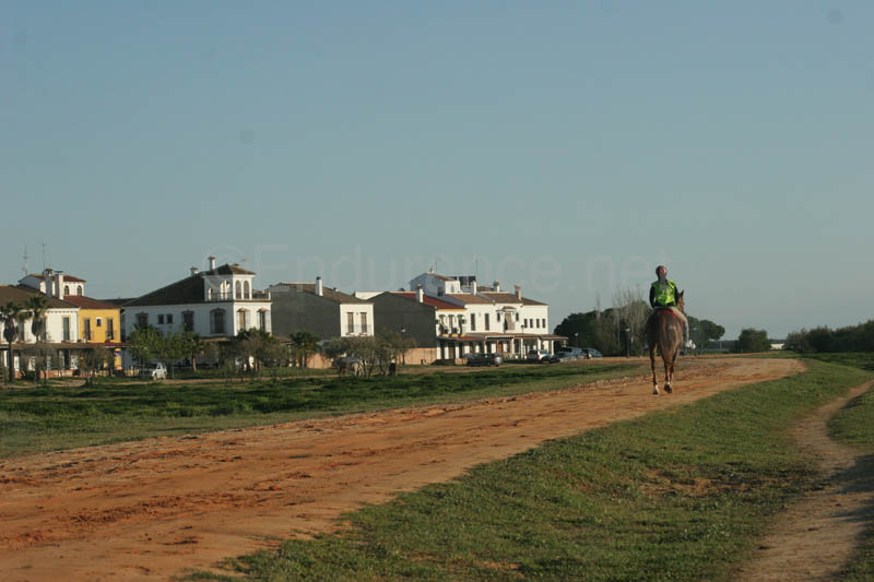 0903TDAA_666