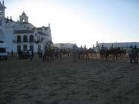 0903TDAA_664A