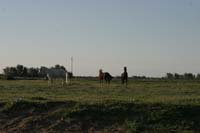 0903TDAA_666A