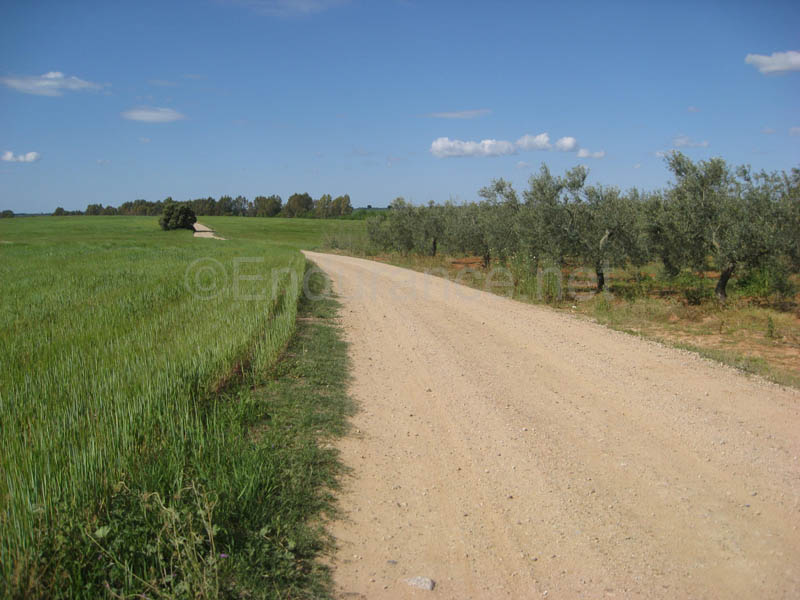 0903TDAA_715A
