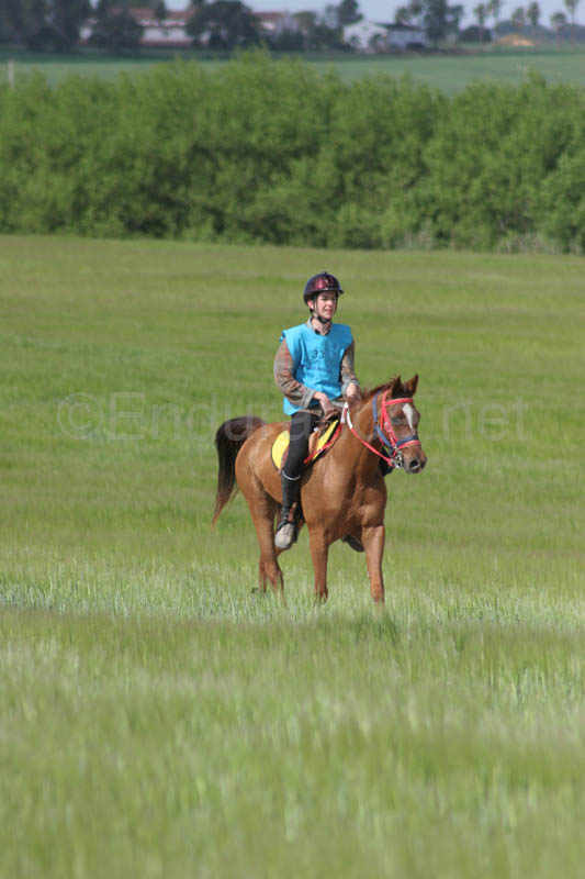 0903TDAA_719