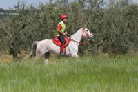 0903TDAA_725