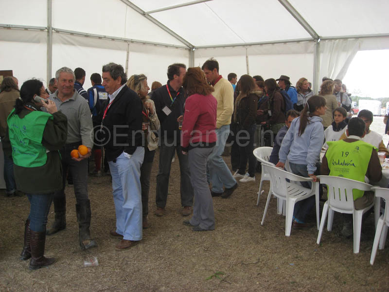 0903TDAA_809