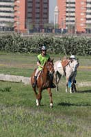 0903TDAA_868