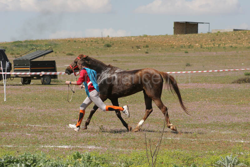 0903TDAA_906