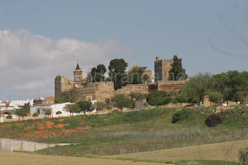0903TDAA_926