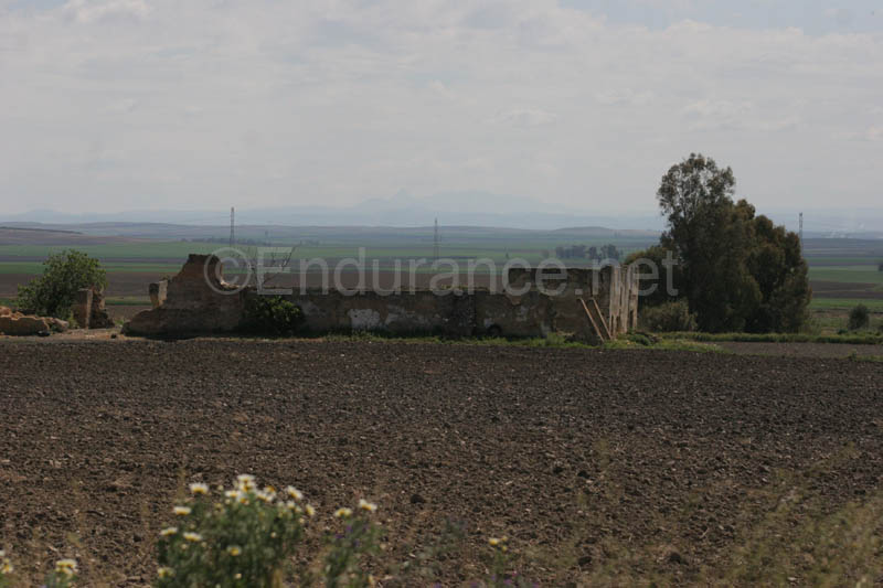 0903TDAA_927