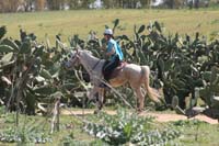 0903TDAA_912