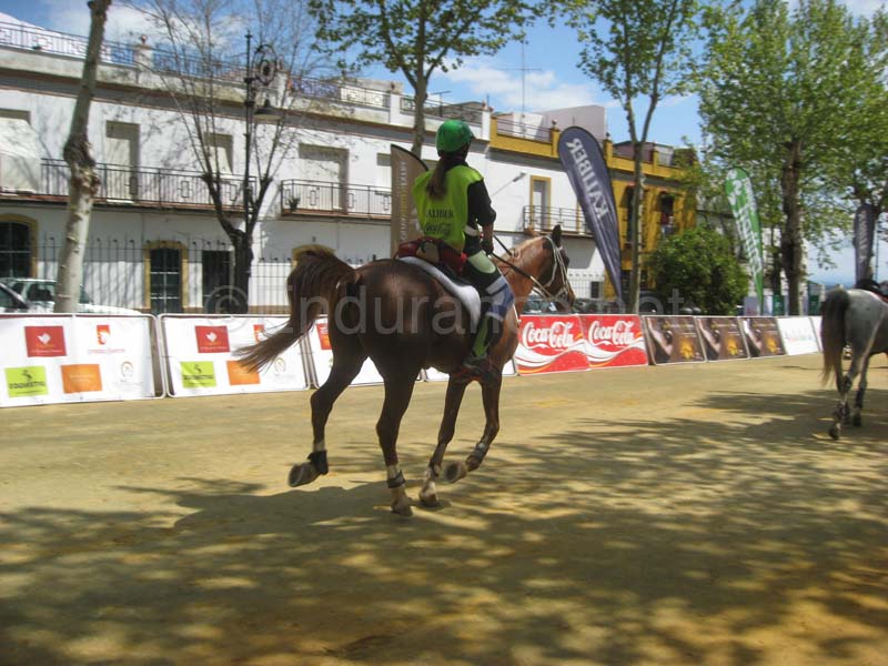 0903TDAA_976D