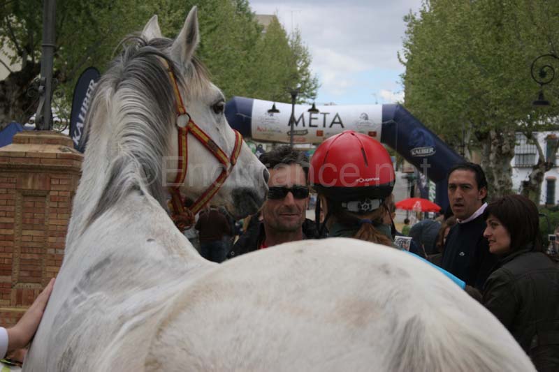 0903TDAA_984
