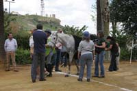 0903TDAA_980