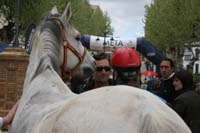0903TDAA_984