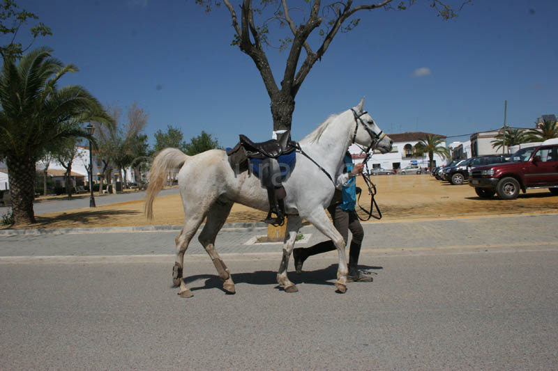 0903TDAA_1106