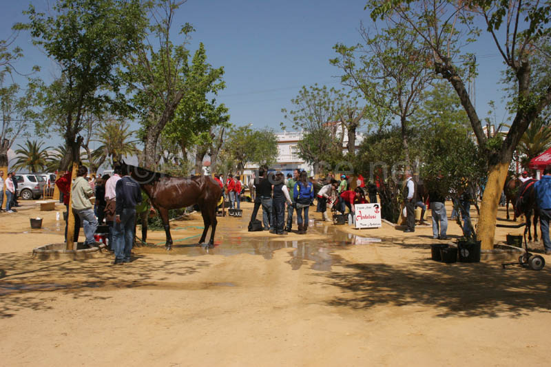 0903TDAA_1108