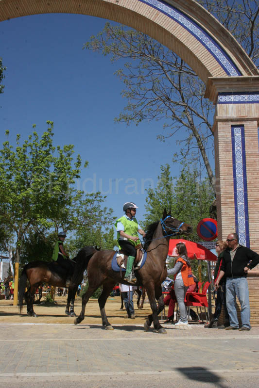 0903TDAA_1125