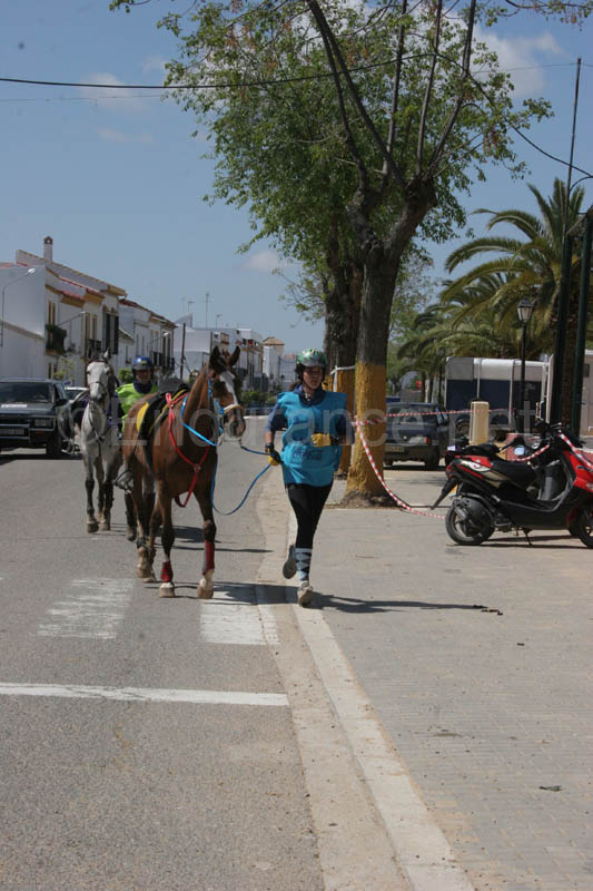 0903TDAA_1126