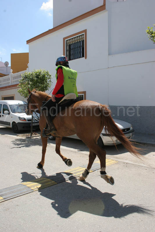 0903TDAA_1131